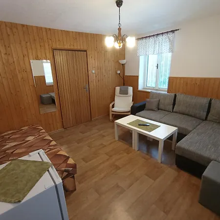 U Studnicku Guest house *